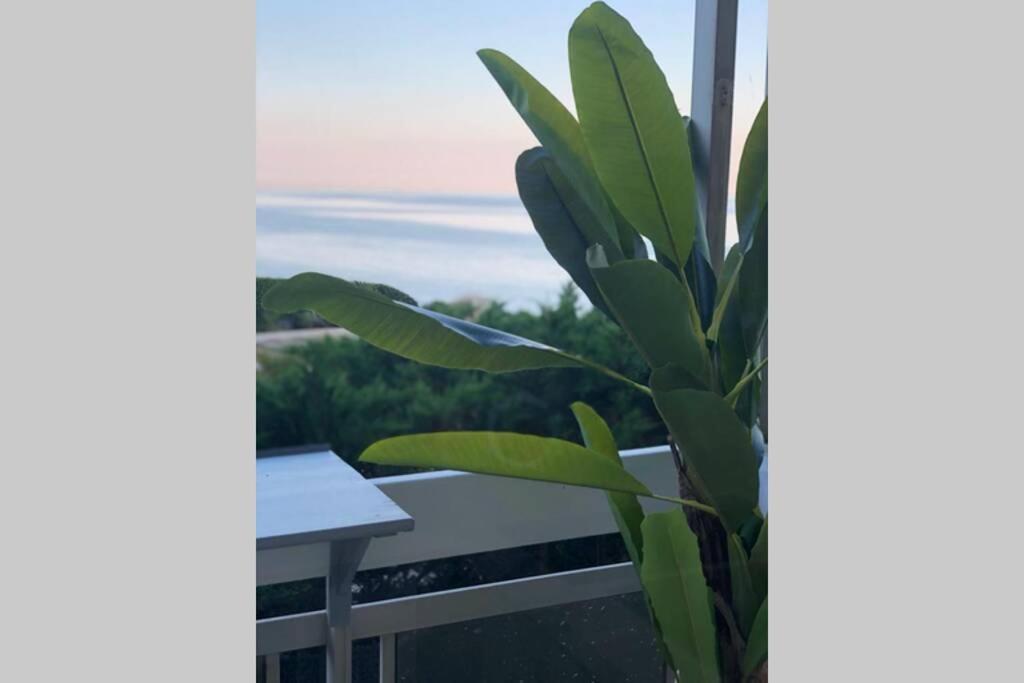 Charmant Studio Avec Terrasse Vue Mer A 50 M Сен Максим Екстериор снимка